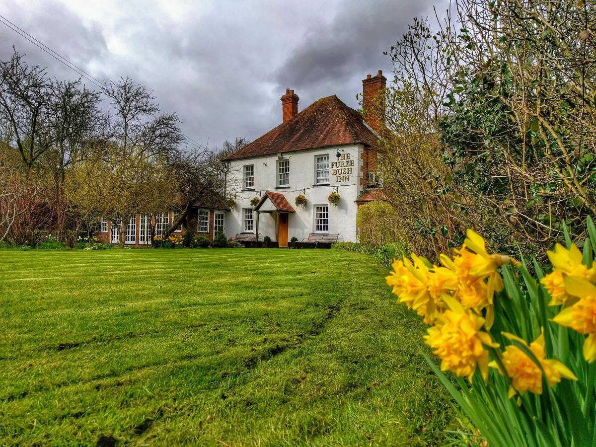 The Furze Bush Inn Newbury  Kültér fotó