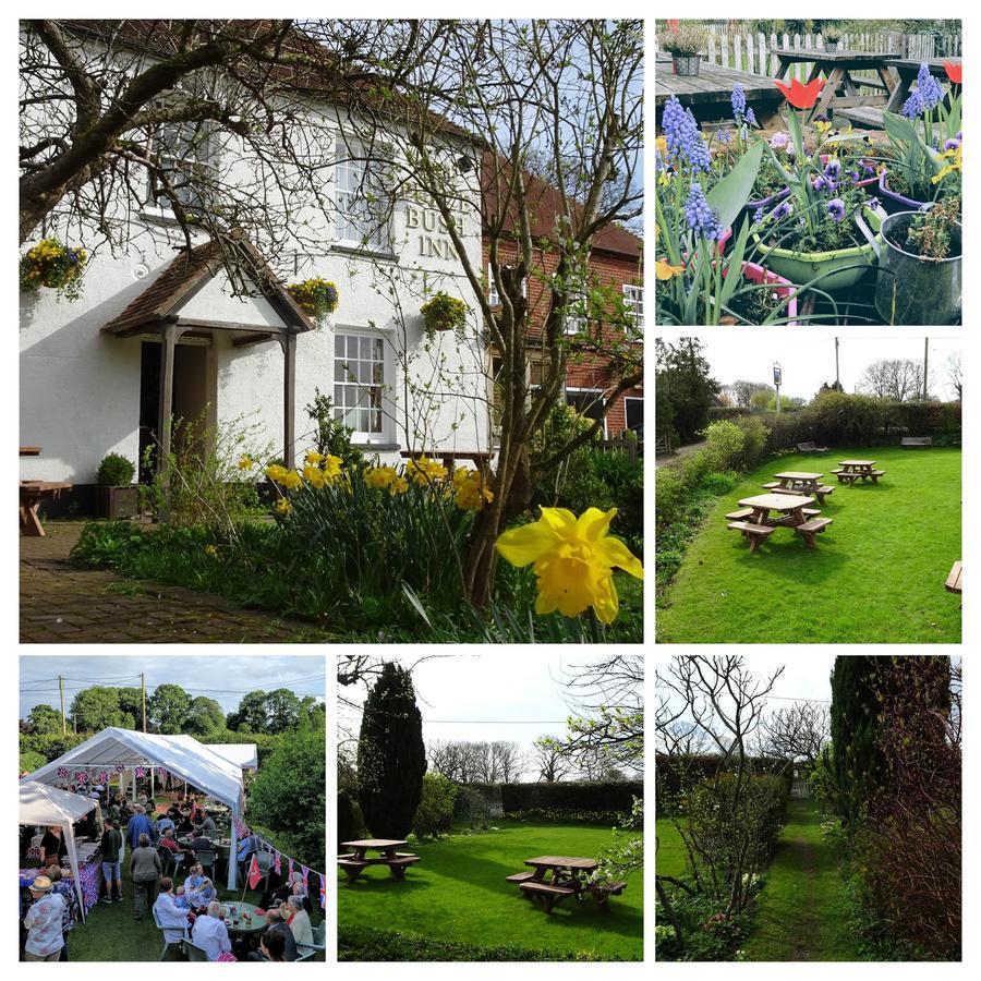 The Furze Bush Inn Newbury  Kültér fotó